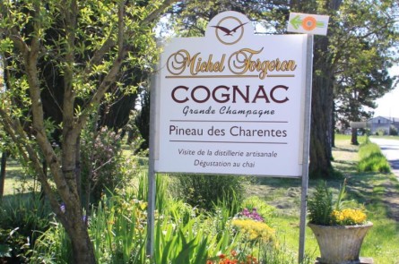 #2017 - COGNAC #2017 - COGNAC
