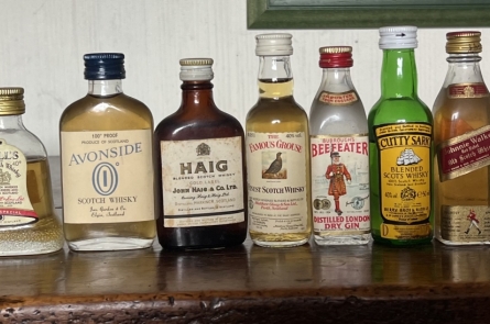 ANNONCE DE MIGNONNETTES N&deg; 81