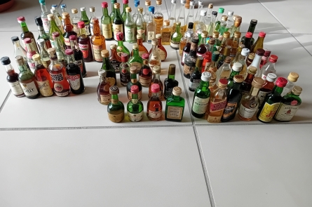 ANNONCE DE MIGNONNETTES N° 53